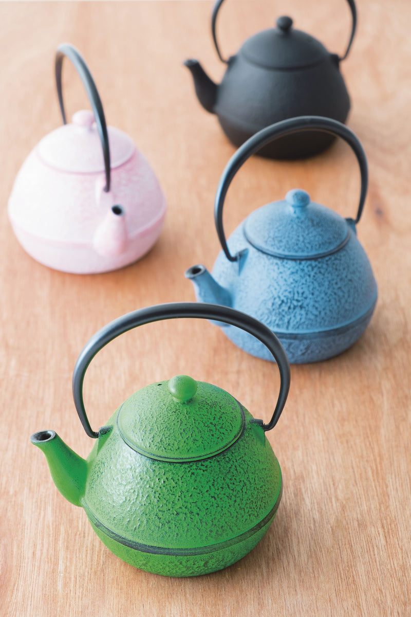 Beautiful Japanese Cast Iron Teapot for green tea
